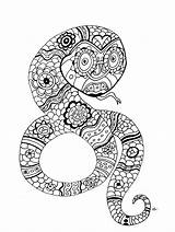 Snake Serpent Coloriage Schlangen Snakes Serpientes Serpenti Adulti Olivier Coloriages Mandala Erwachsene Malbuch Serpents Adults Oliv Adultes Serpente Justcolor Zentangle sketch template