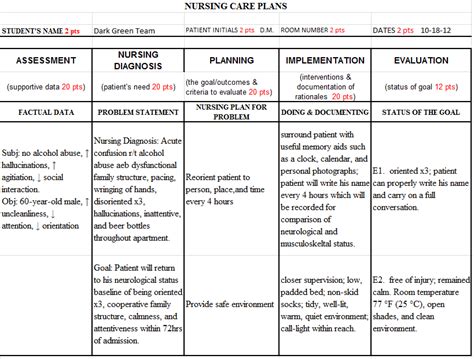 adpie nursing care plan