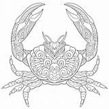 Crab Coloring Verbnow sketch template
