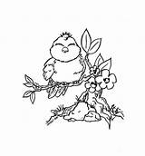 Coloring Branch Birdie Jadedragonne Coloringhome sketch template