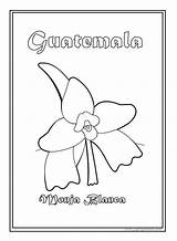 Guatemala Coloring Para Colorear Flag Monja Blanca Flower Pages Dibujos National Patrios Simbolos Color Nun Symbol Bandera Niños Imagen Simbolo sketch template