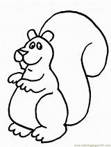 Coloring Pages Squirrels Squirrel Popular sketch template