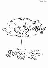 Tree Baum Shrubbery Malvorlage Vorlage Malen sketch template