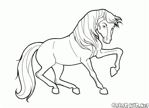 coloring page horse   farm