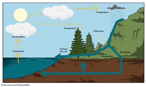 water cycle diagram  water cycle steps activities