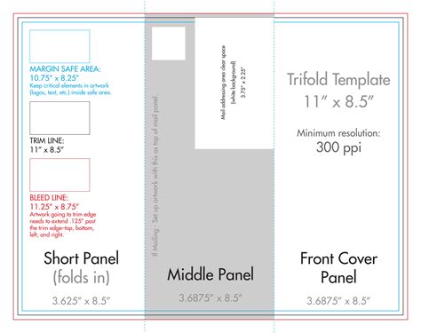 trifold template indesign