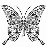 Mandala Coloring Pages Butterfly Adult Printable Adults Insect Flower Kids Color Sheets Colouring Peaksel Save Read Choose Board sketch template