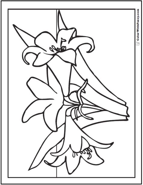 spring flowers coloring page  customizable printables
