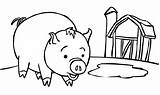 Cerdos Colorir Cerditos Pasar Anipedia Porquinhos Pig Imprimir Peppa Recortar sketch template