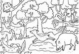 Wald Ausmalbild Waldtiere Toonpool Sabine Voigt Ausdrucken Anmalen sketch template