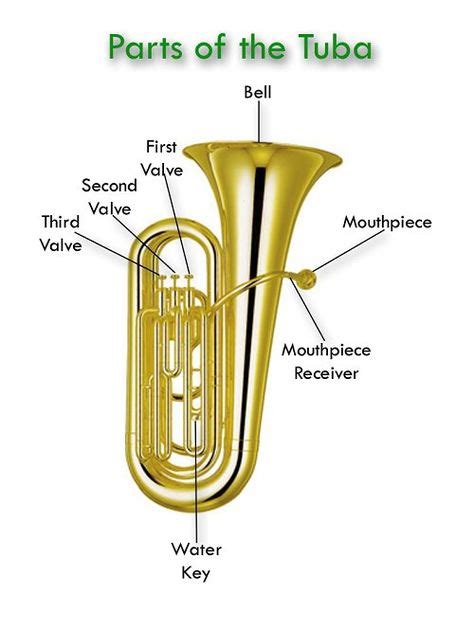 tuba  tuba   largest  lowest pitched instrument   brass family sound