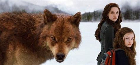 Renesmee And Jacob Wolf Twilight