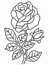 Coloring Pages Roses Rose Flowers Drawing Print Colouring Rosas Flower 321coloringpages Gif Dibujos Rosa Con Adult Fiori Di sketch template