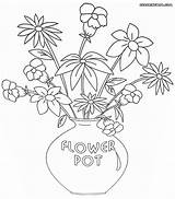 Pot Flower Coloring Pages Flowers Colorings Flowerpot sketch template