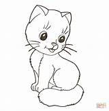 Coloring Kitten Pages Cute Little Printable Supercoloring sketch template