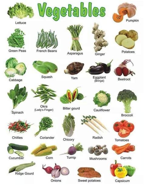 vegetables chart   vegetables vegetables vegetable chart
