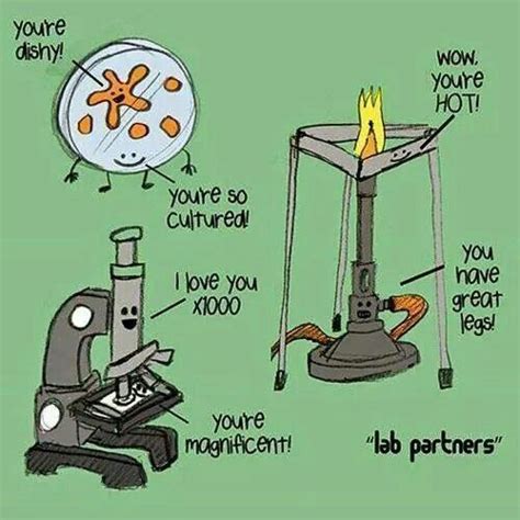 Lab Partners Science Memes Science Nerd Teaching Science Science