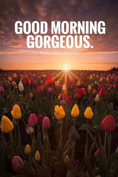 good morning quotes   picture quotes  love