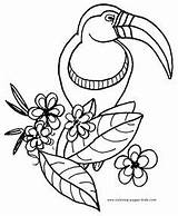Tucan Parrot Perroquet Repujado Dodo Decoración Bordado Mosaicos Coloriages sketch template