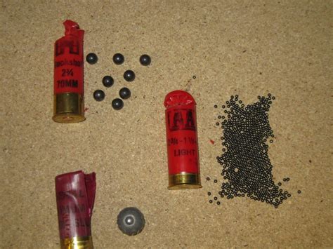 shotgun ammo  home defense  target shooting