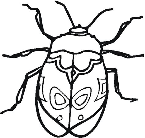 bugs color  pages coloring pages  kids