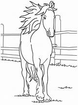 Horse Coloring Pages Printable Kids Horses Color Print Friesian Sheets Quarter Girls Barbie Colorear Para Baby Cute Caballos Getcolorings Book sketch template