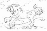 Breyer Dauphin Equestrian Galery sketch template