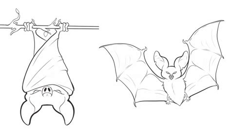 printable bat coloring pages everfreecoloringcom