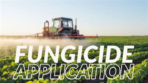 Fungicide Application Timing 2020 Youtube