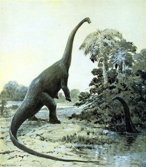 sauropod dinosaurs large size due  plant food