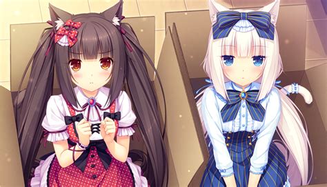 [visual Novel Review] Nekopara Vol 1 The Geek Clinic