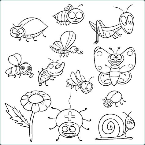 insects  color hshrat lltloyn coloriage insectes image coloriage