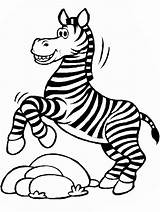 Zebra Coloring Pages Cartoon Baby Wednesday May sketch template