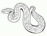 Coloring Snake Pages Printable Library Clipart sketch template