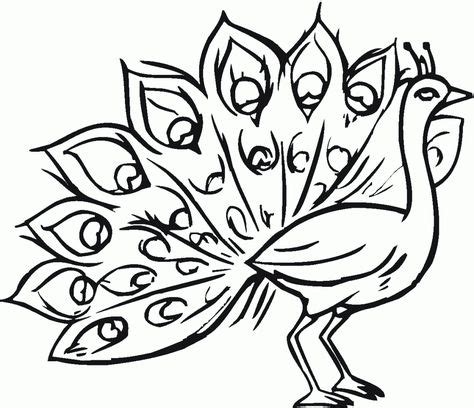 printable peacock coloring pages  kids peacocks peacock