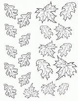 Leaves Leaf Coloring Fall Pages Autumn Template Printable Templates Cake Drawing Color Colouring Birdonacake Stencil Print Chocolate Small Stencils Bird sketch template