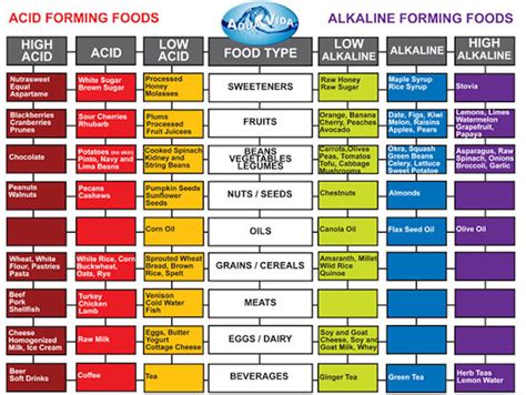 Importance Of Body Alkalinity Fitness Tips For Life