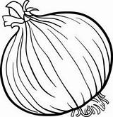 Onion Coloring Getcolorings Vegetable Printable sketch template