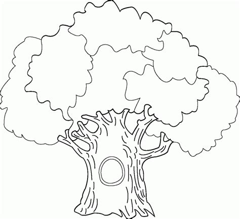 tree coloring sheet coloring home