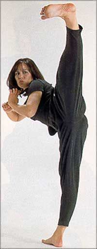 Shannon Lee Bruce Lee Pinterest Bruce Lee Martial