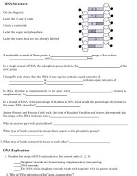 answered dna structure   diagram label  bartleby