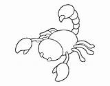 Scorpion Raised Sting Coloring Coloringcrew sketch template