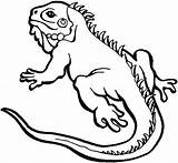 Coloring Lizard Pages Frilled Print Kids Iguana Color Reptiles Drawings Drawing Baby Getcolorings Astonishing Easy Getdrawings Printable Colouring Alpha Colornimbus sketch template
