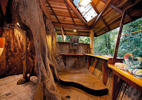 top  amazing tree house hotels    youfall   tree  calm  travel