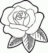 Trandafiri Desene Colorat sketch template