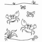 Coloring Pages Crab Crabs Sea Beach Printable Little Amazing Sand Castle sketch template