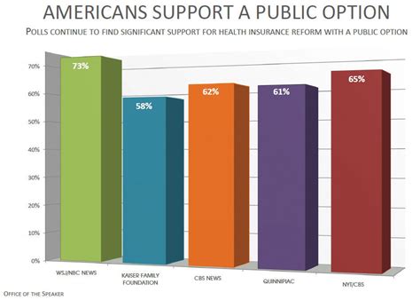 polling  public american government  politics   information age