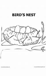 Coloring Nest Pages Library Clipart Drawing Kids sketch template