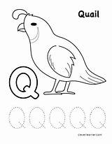Quail Worksheets Sheets Alphabet Starting sketch template