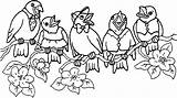 Vogel Uccelli Kleurplaten Malvorlagen Oiseau Kleurplaat Malvorlage Vogelhochzeit Voegel Coloriages Mewarnai Burung Animasi Bergerak Stampa Coloratutto sketch template